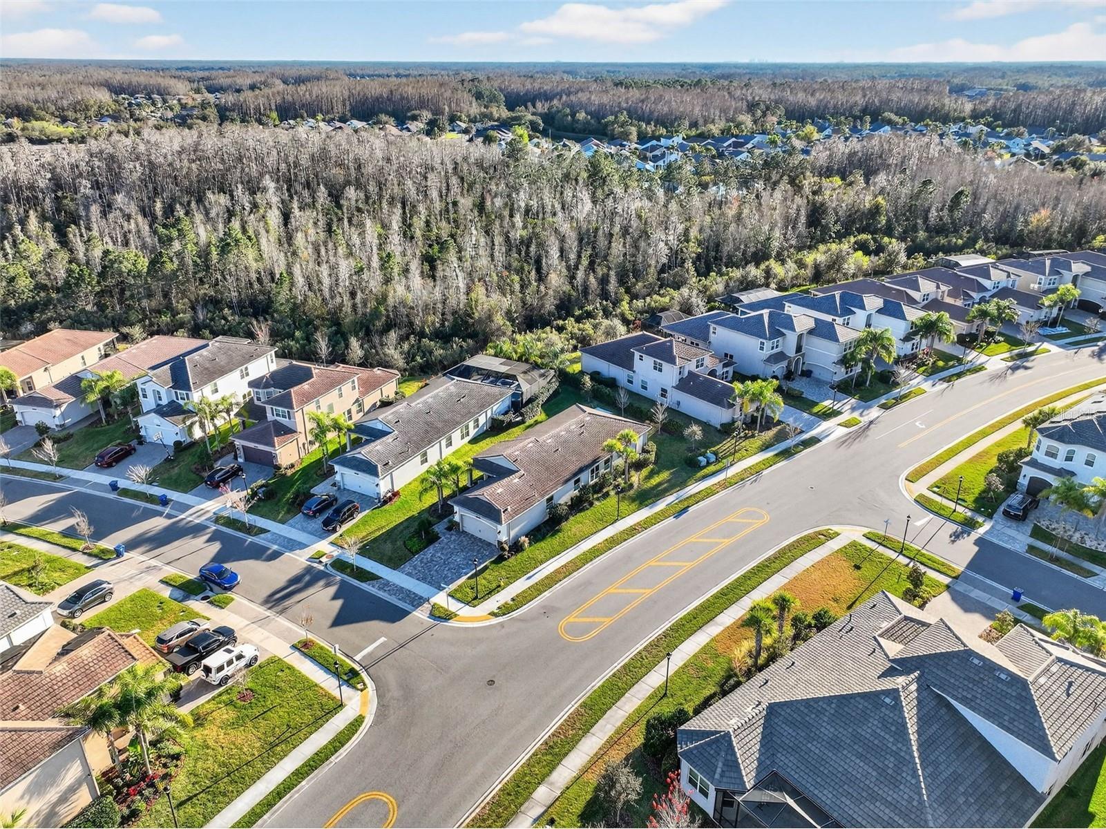 30724 Lindentree Drive Wesley Chapel FL 33543 TB8470260 image60
