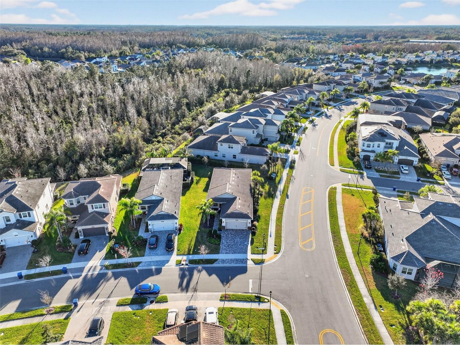 30724 Lindentree Drive Wesley Chapel FL 33543 TB8470260 image61