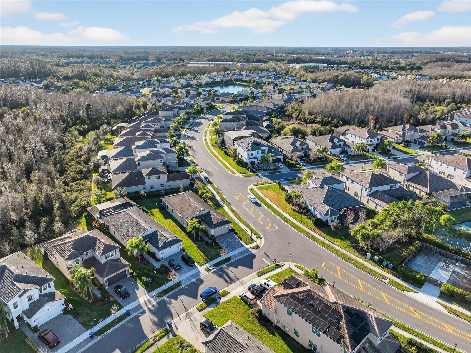 30724 Lindentree Drive Wesley Chapel FL 33543 TB8470260 image63