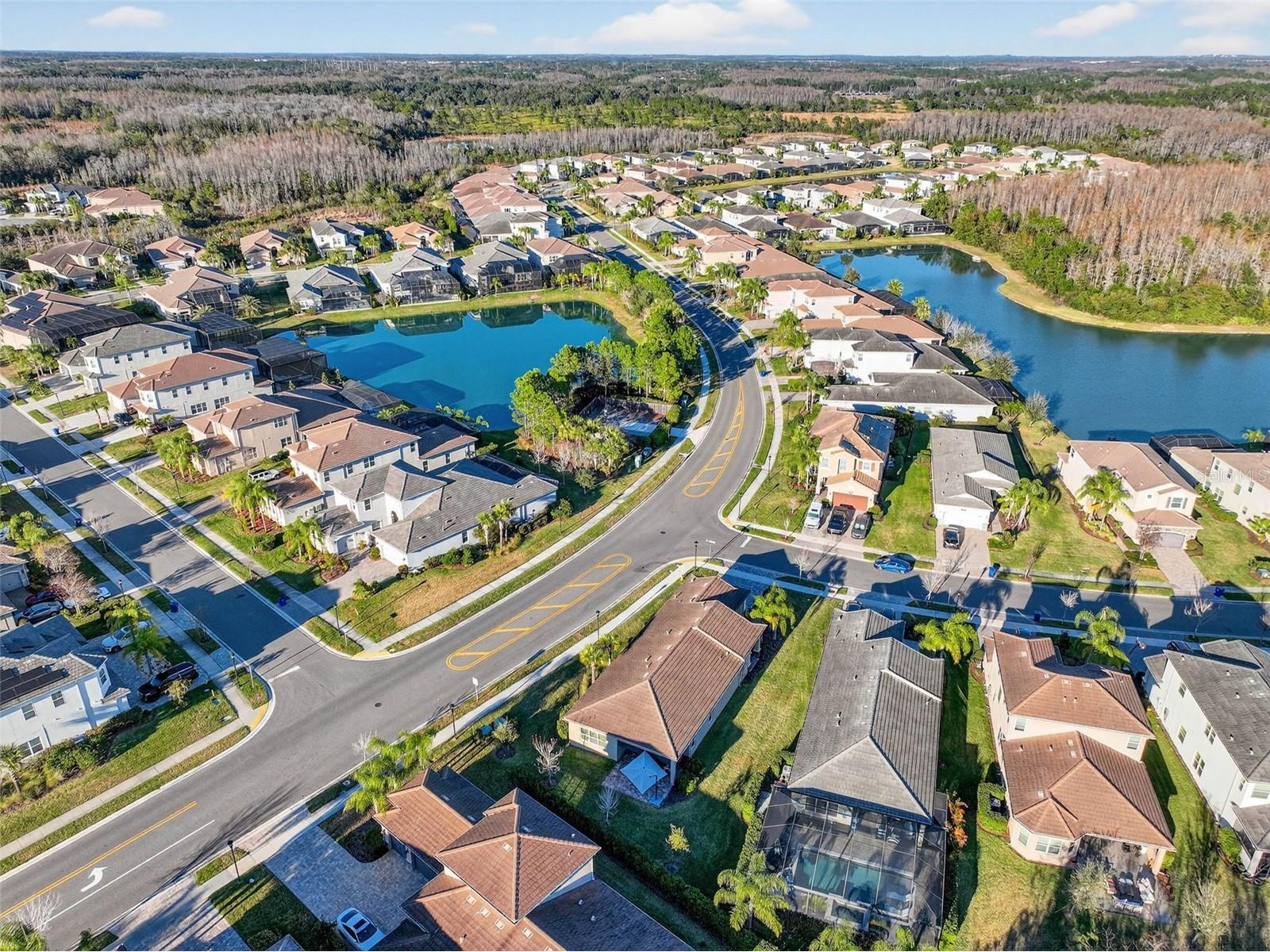 30724 Lindentree Drive Wesley Chapel FL 33543 TB8470260 image64
