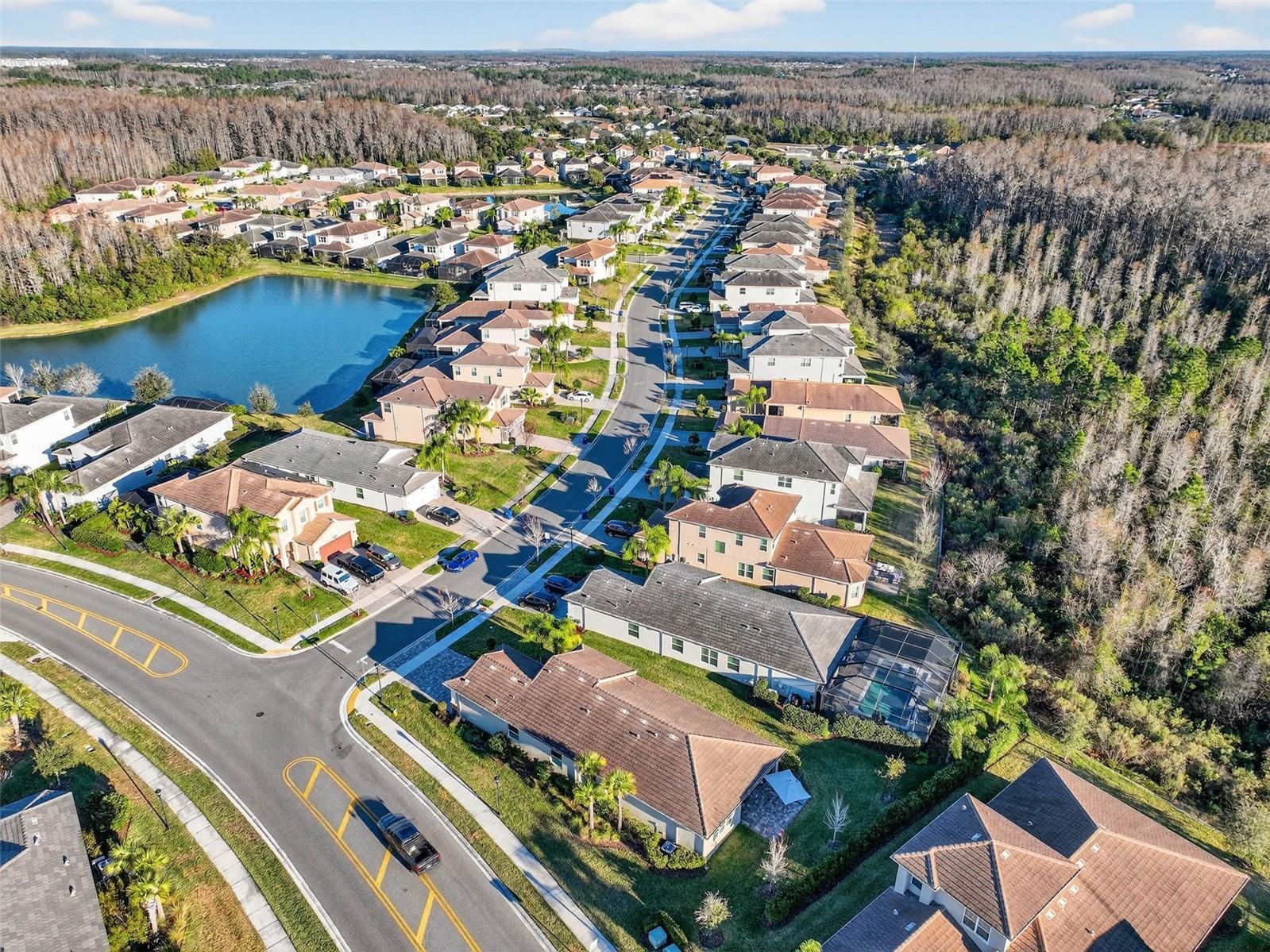 30724 Lindentree Drive Wesley Chapel FL 33543 TB8470260 image65