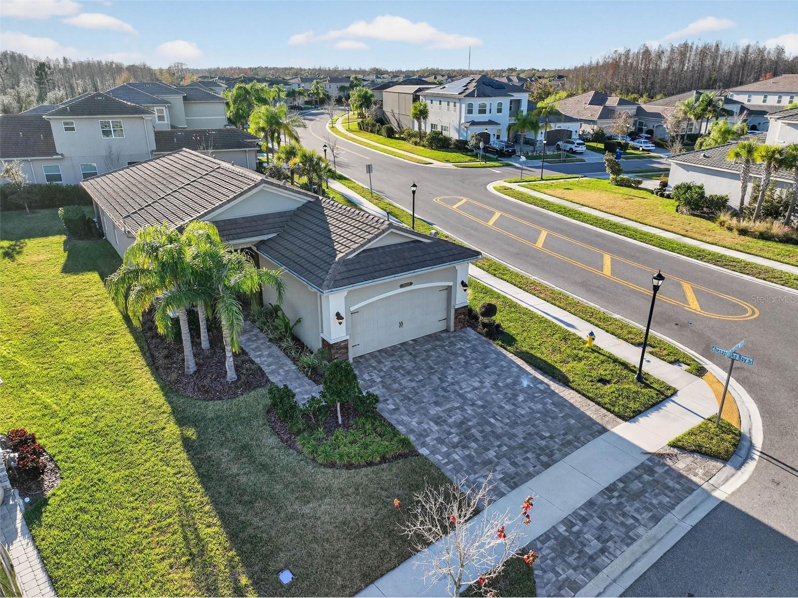 30724 Lindentree Drive Wesley Chapel FL 33543 TB8470260 image67