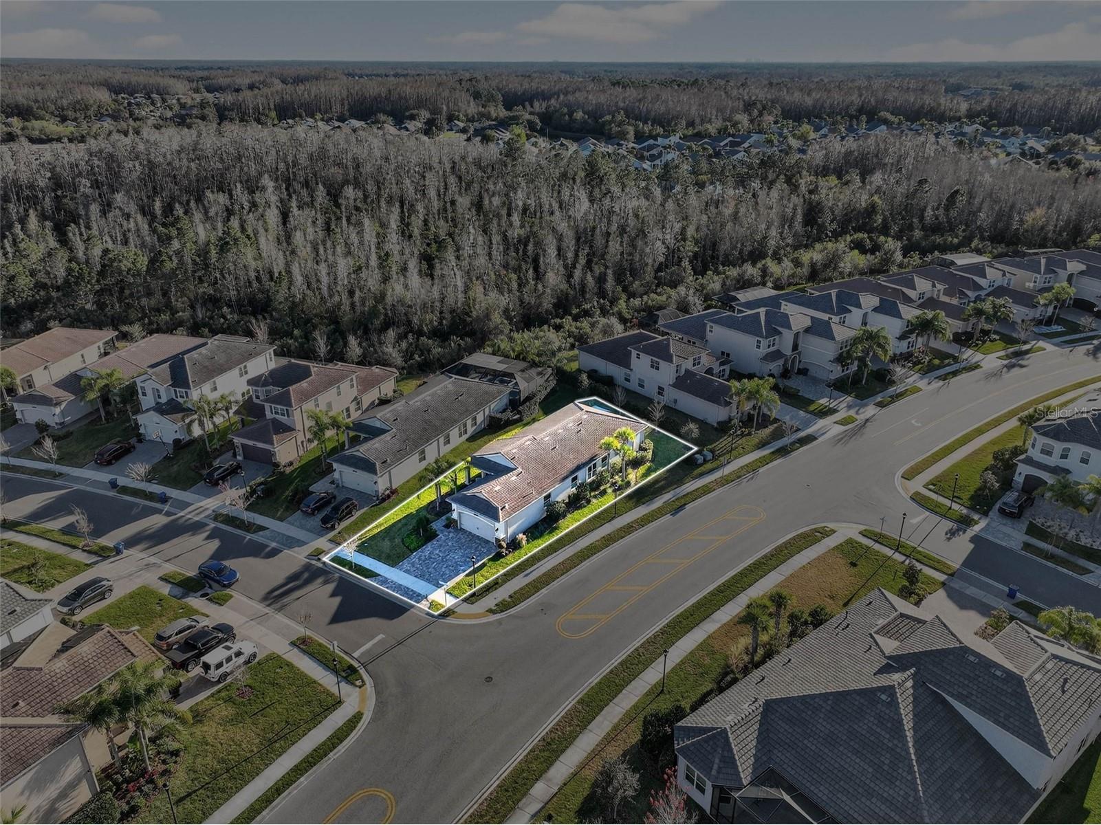 30724 Lindentree Drive Wesley Chapel FL 33543 TB8470260 image69