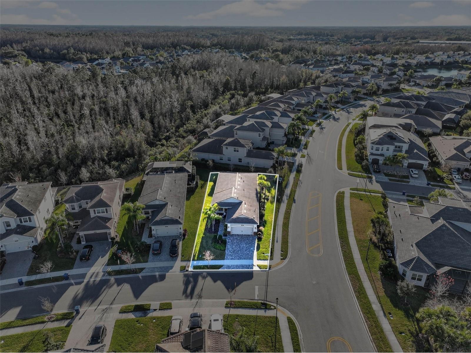 30724 Lindentree Drive Wesley Chapel FL 33543 TB8470260 image70