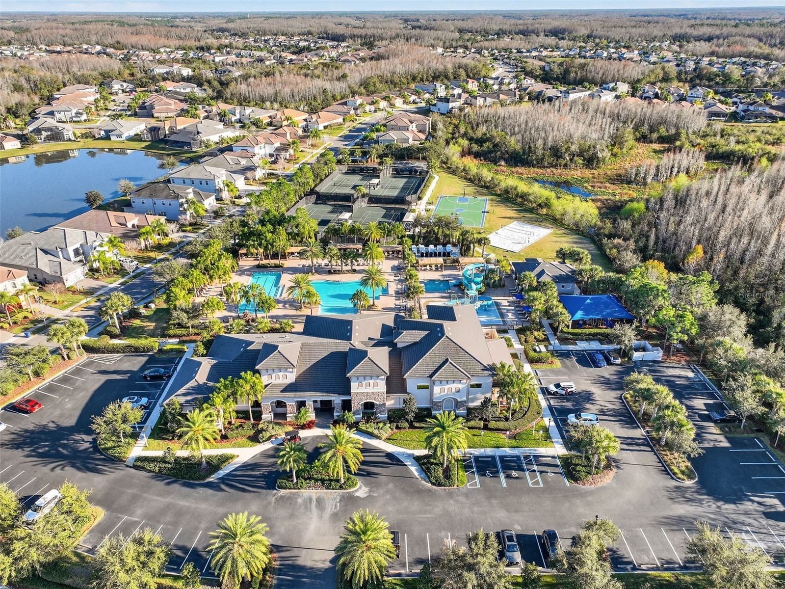 30724 Lindentree Drive Wesley Chapel FL 33543 TB8470260 image72