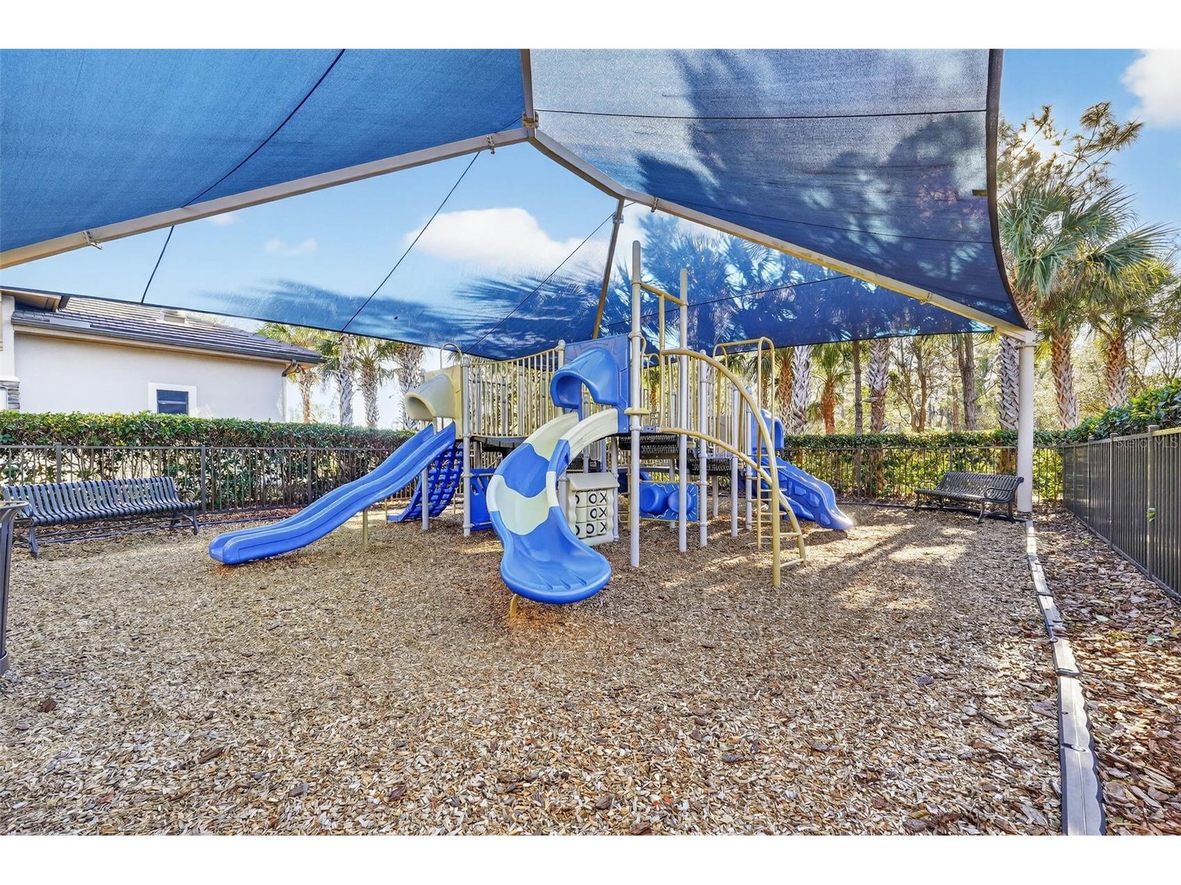 30724 Lindentree Drive Wesley Chapel FL 33543 TB8470260 image73