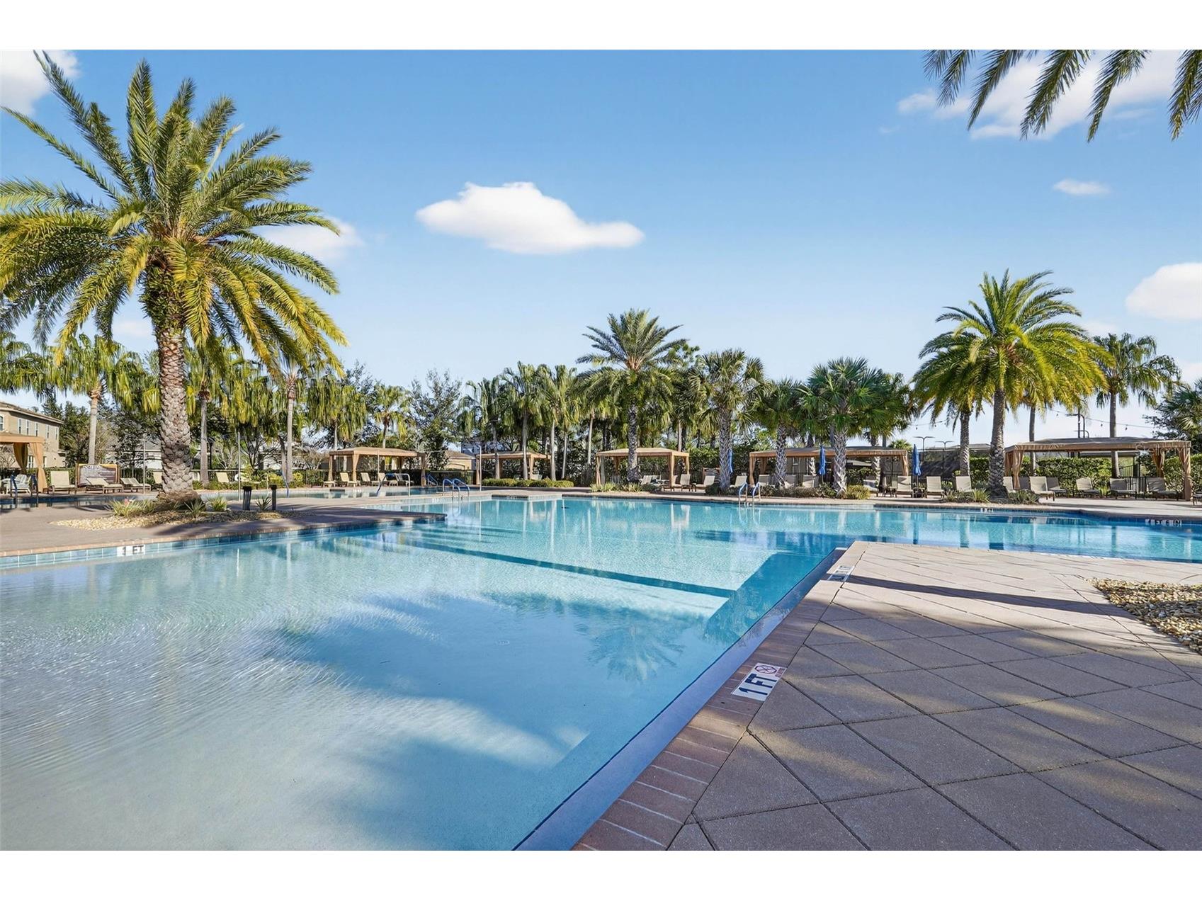 30724 Lindentree Drive Wesley Chapel FL 33543 TB8470260 image74