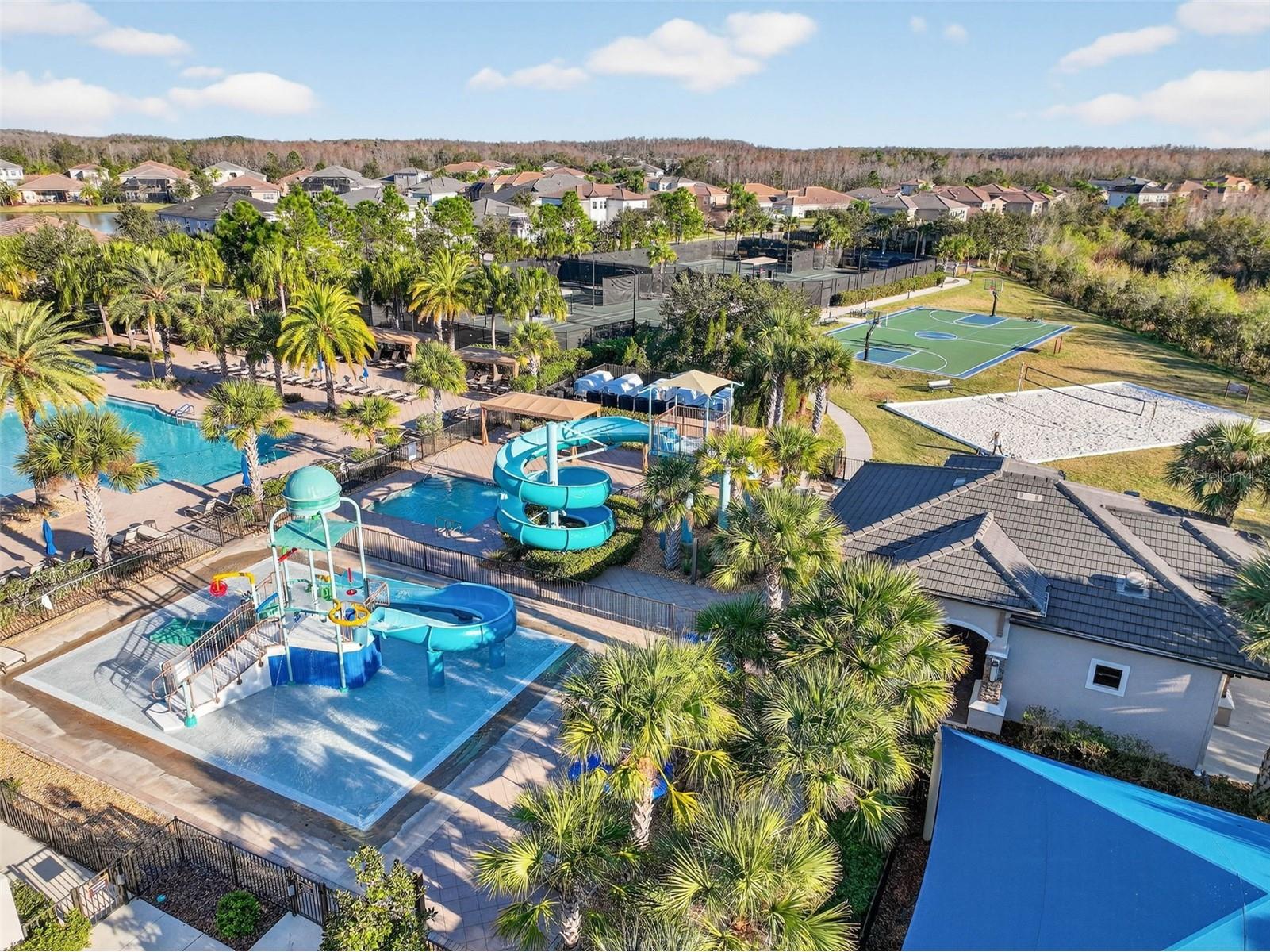 30724 Lindentree Drive Wesley Chapel FL 33543 TB8470260 image85