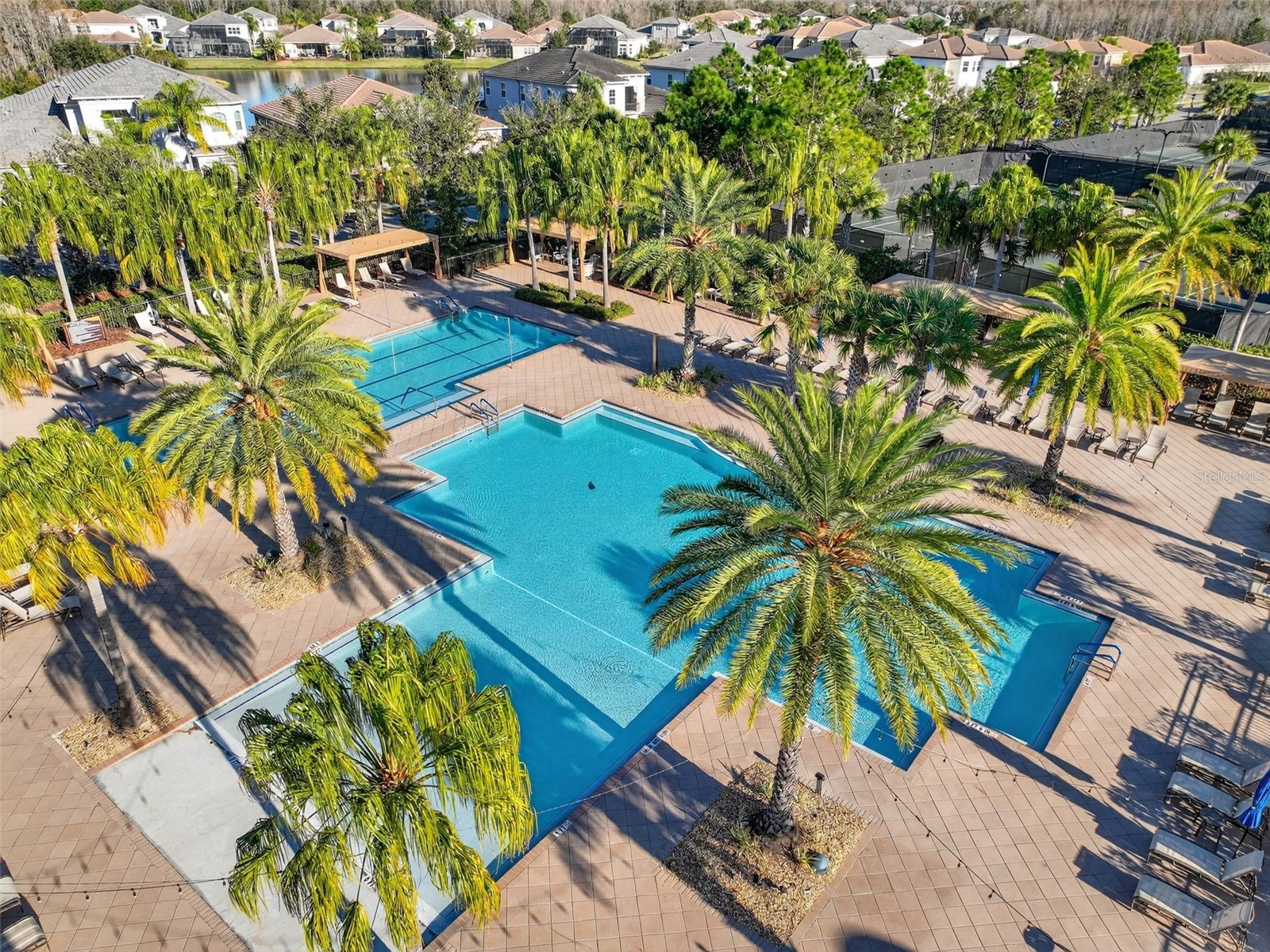 30724 Lindentree Drive Wesley Chapel FL 33543 TB8470260 image87