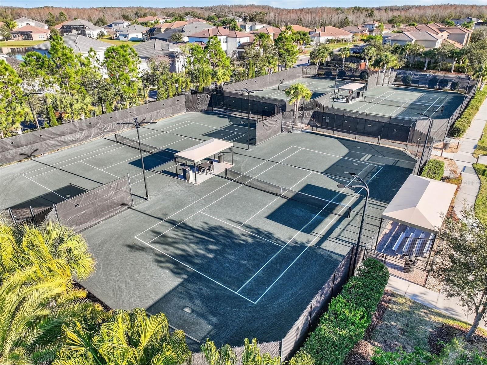 30724 Lindentree Drive Wesley Chapel FL 33543 TB8470260 image90