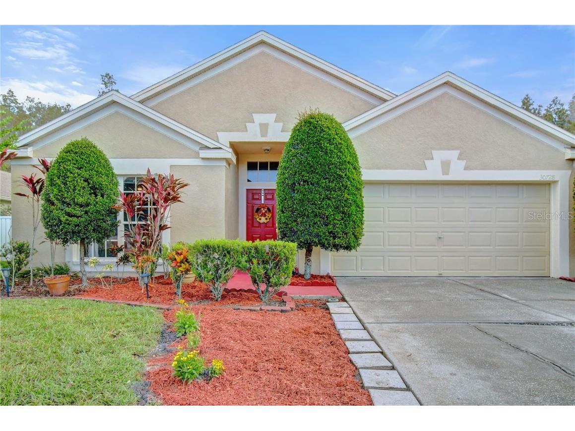 30728 Iverson Drive Wesley Chapel FL 33543 P4928186 image1