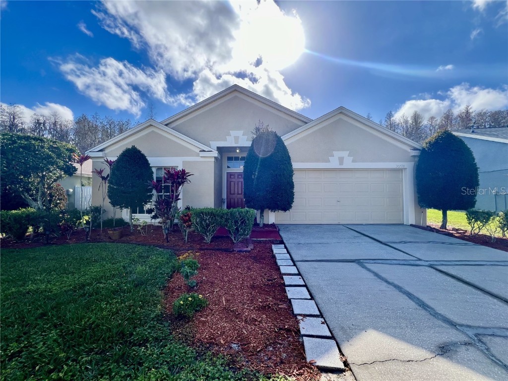 30728 Iverson Drive Wesley Chapel FL 33543 T3500092 image1