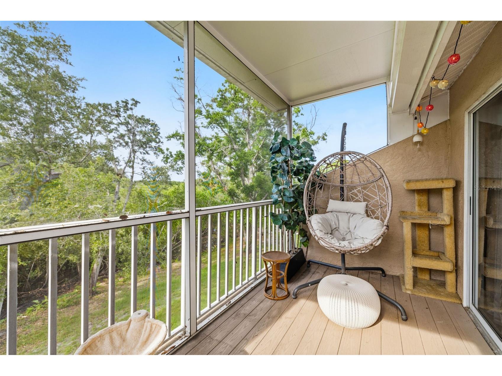 3073 Branch Drive Clearwater FL 33760 TB8526083 image24