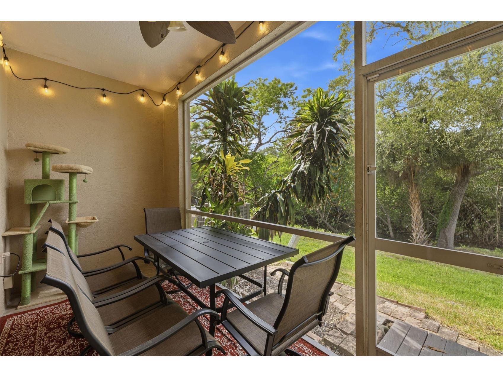3073 Branch Drive Clearwater FL 33760 TB8526083 image32