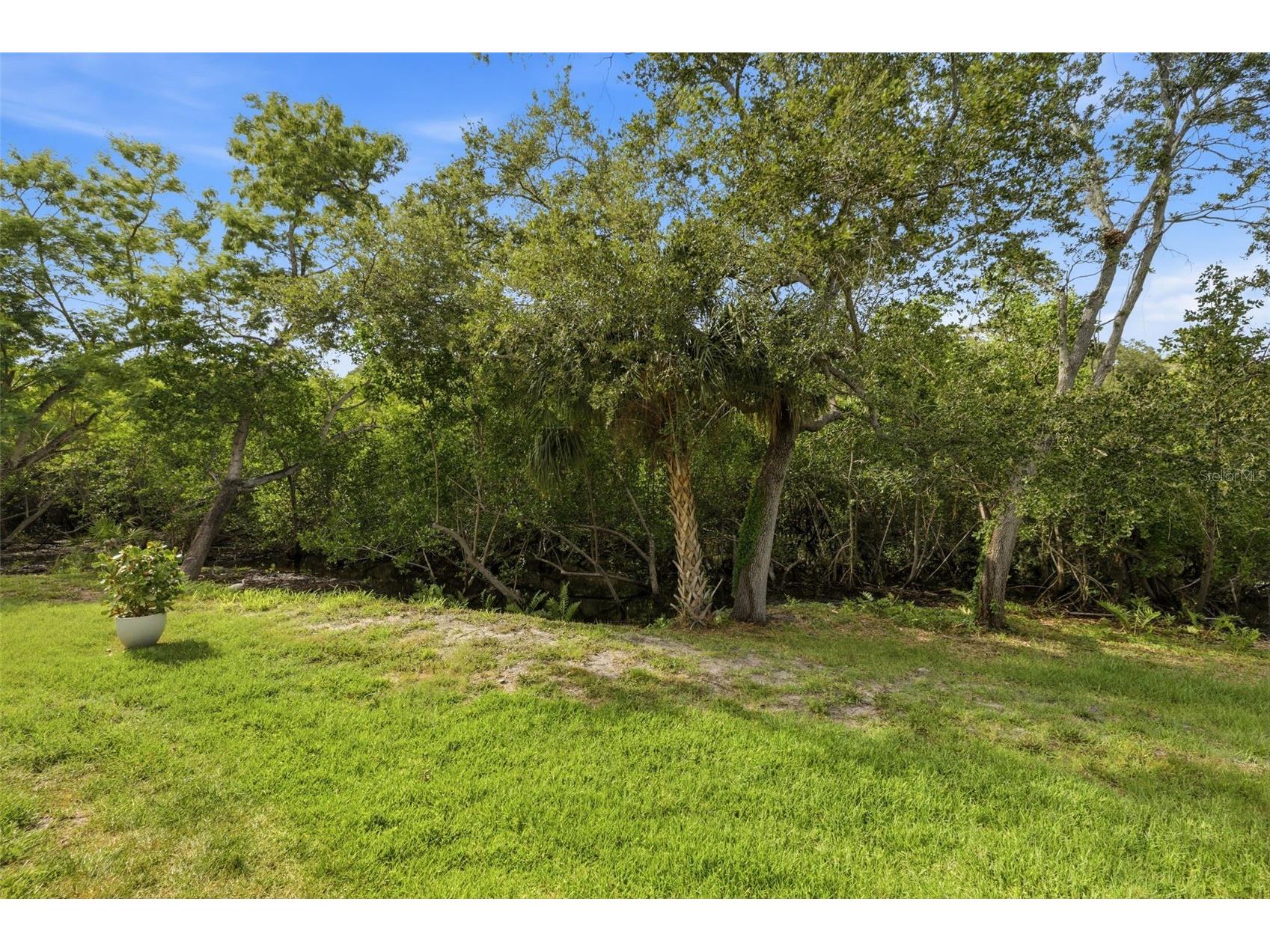 3073 Branch Drive Clearwater FL 33760 TB8526083 image34
