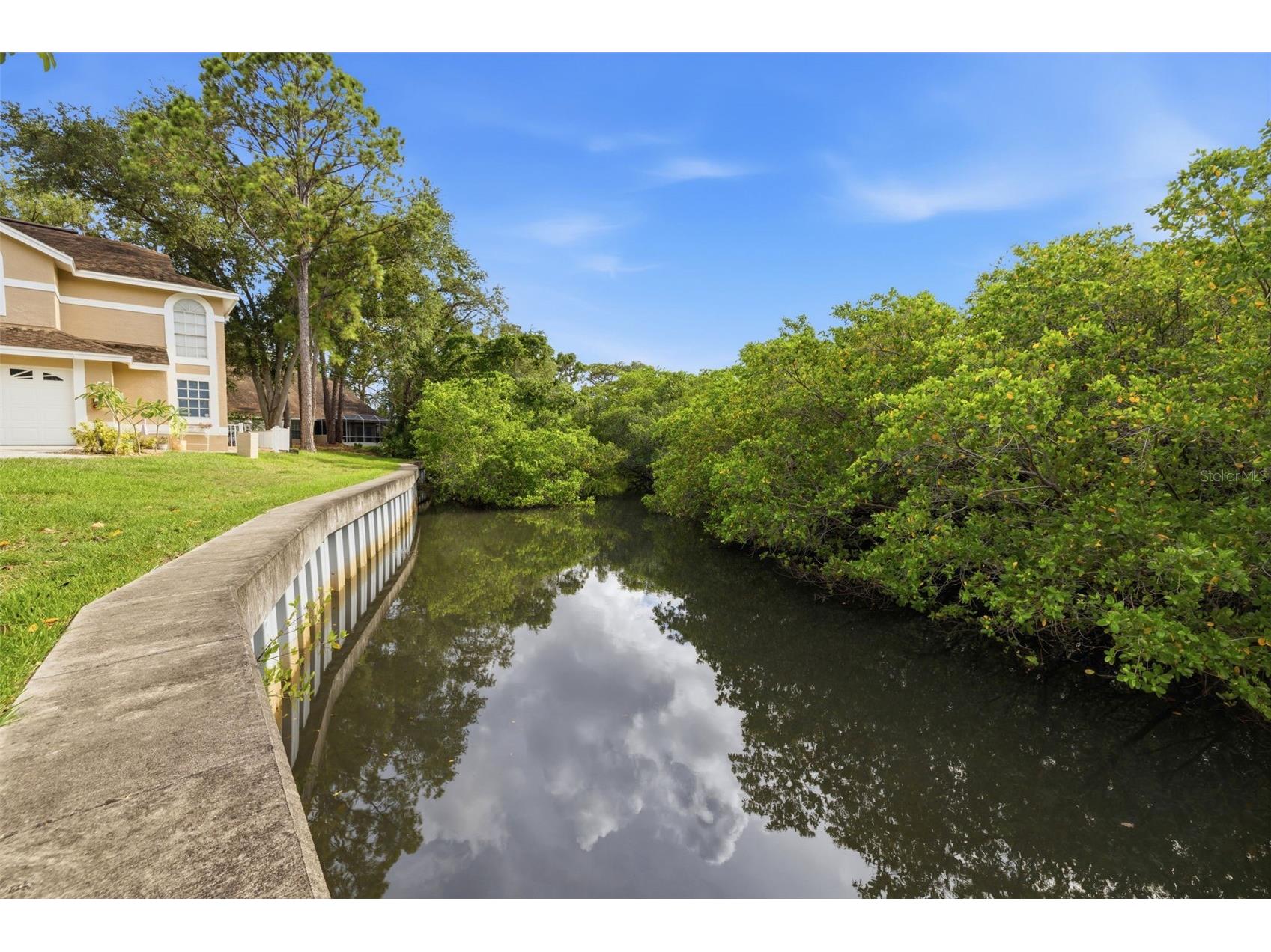 3073 Branch Drive Clearwater FL 33760 TB8526083 image37