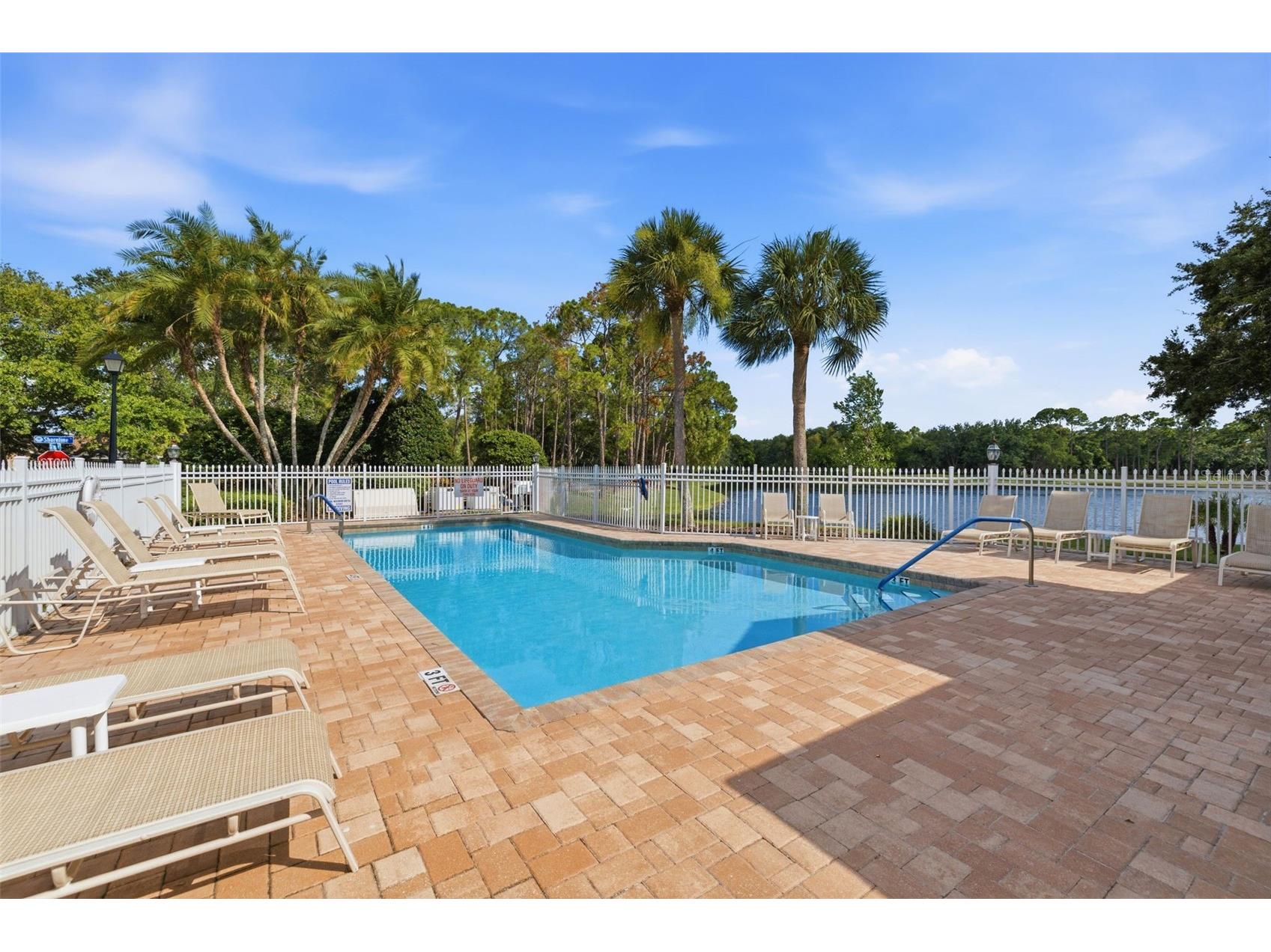 3073 Branch Drive Clearwater FL 33760 TB8526083 image38