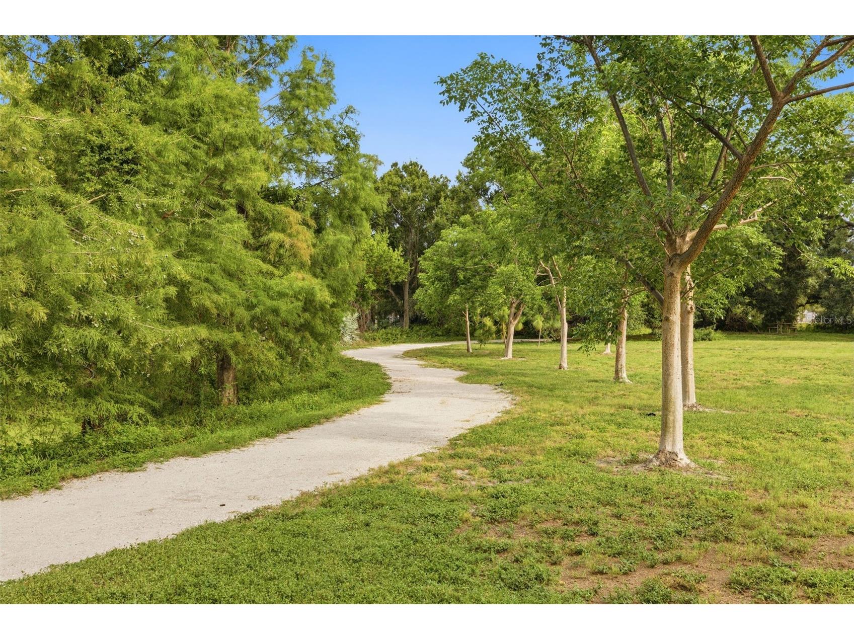 3073 Branch Drive Clearwater FL 33760 TB8526083 image41