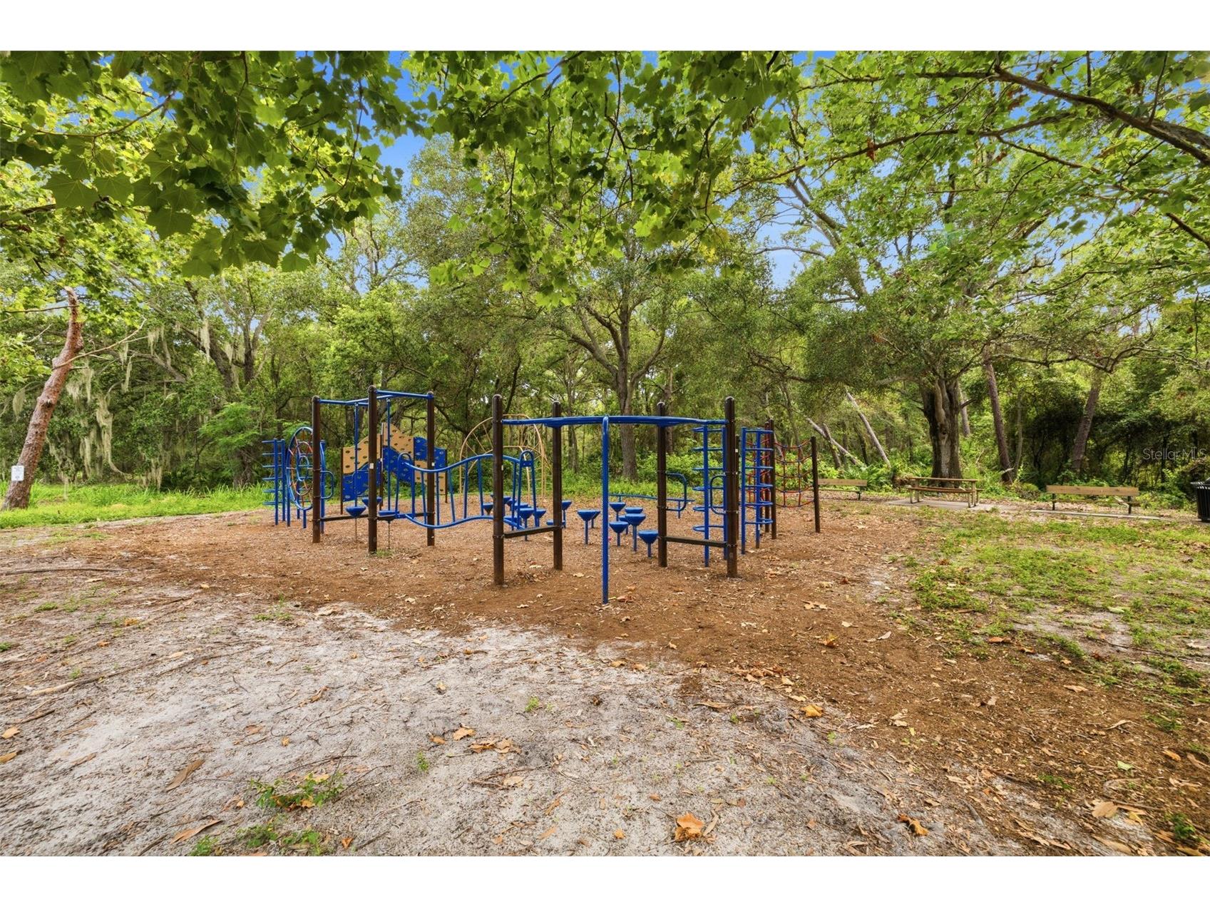 3073 Branch Drive Clearwater FL 33760 TB8526083 image43