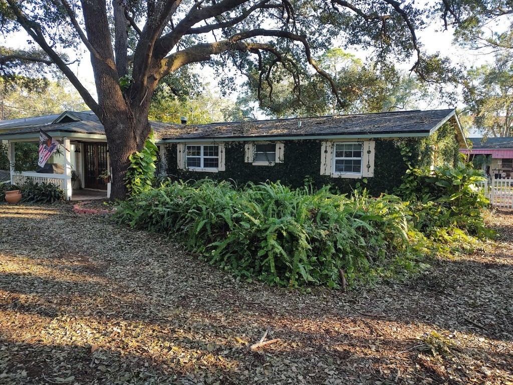 3073 Duane Avenue Oldsmar FL 34677 TB8315081 image1