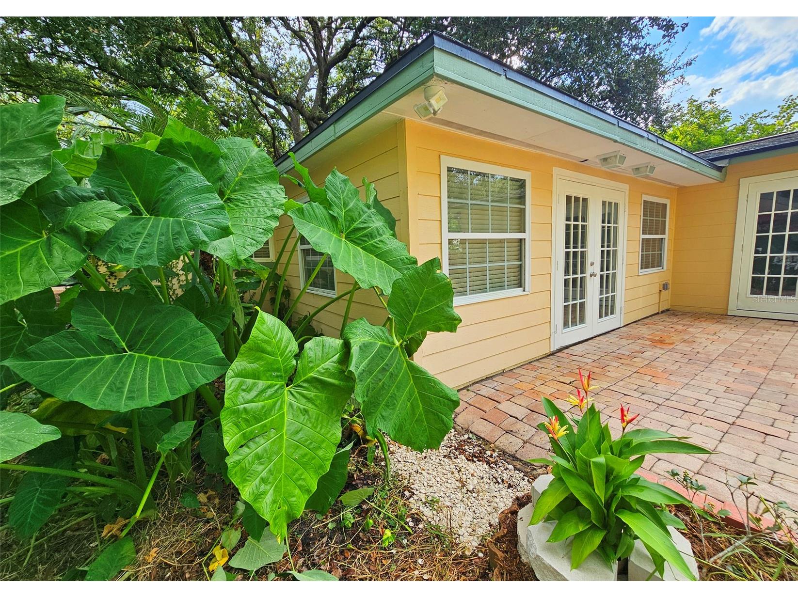 3073 Duane Avenue Oldsmar FL 34677 TB8417476 image26