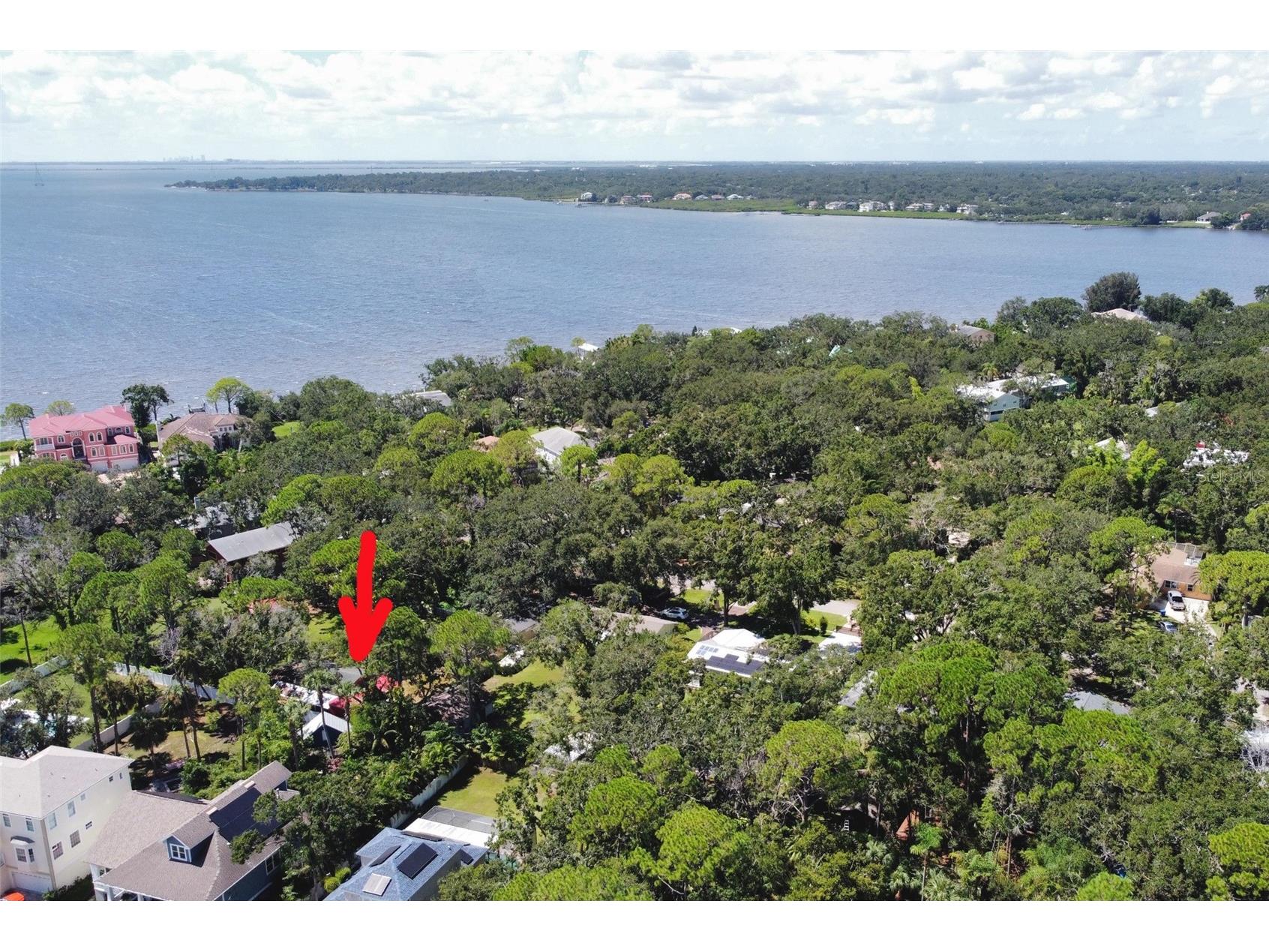 3073 Duane Avenue Oldsmar FL 34677 TB8417476 image37