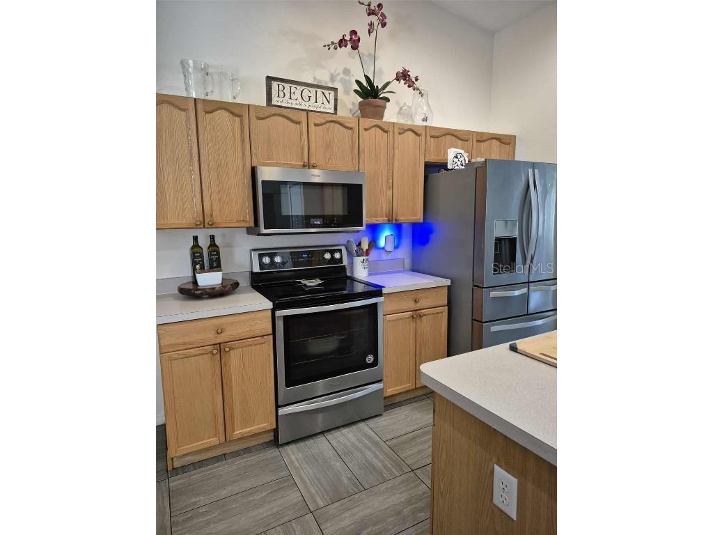 30733 E Buttercup Lane Mount Dora FL 32757 S5134410 image3