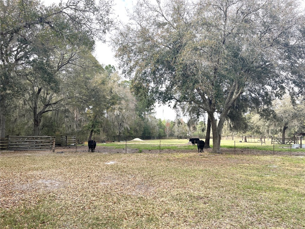 30737 Elam Road Wesley Chapel FL 33545 T3548223 image11