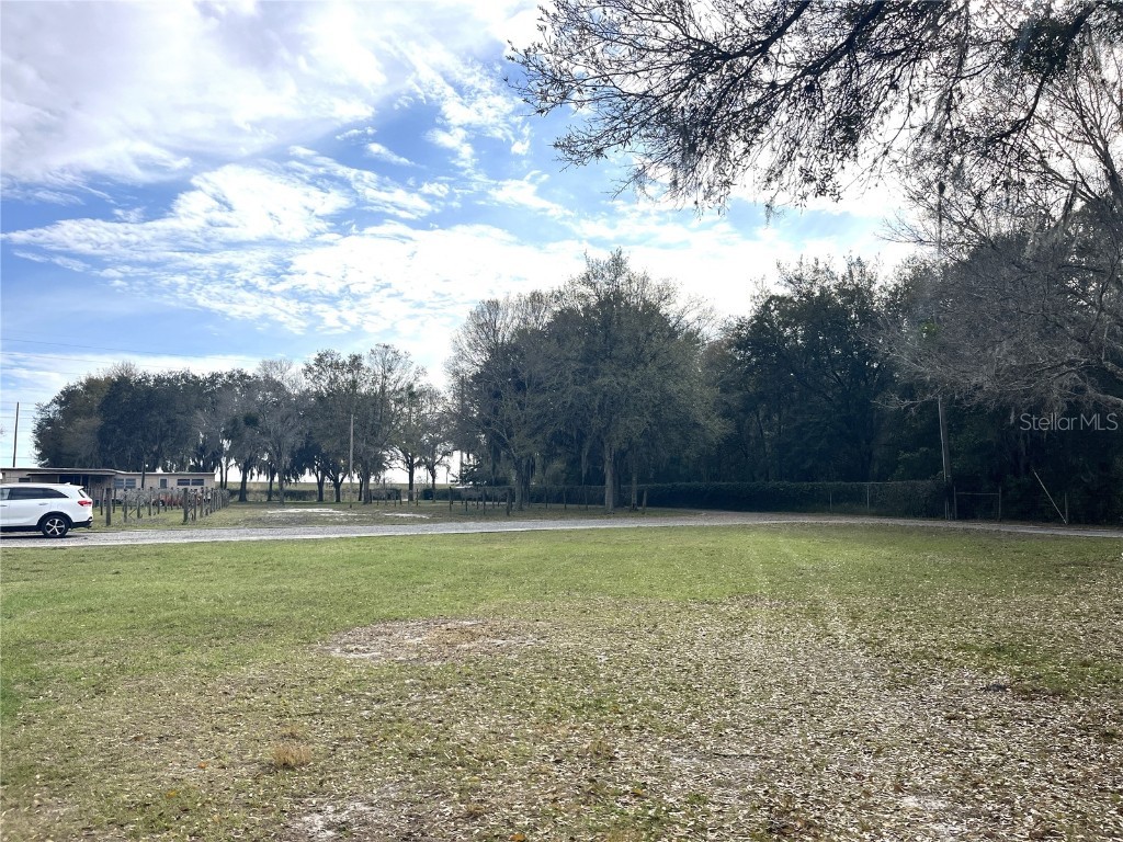 30737 Elam Road Wesley Chapel FL 33545 T3548223 image12