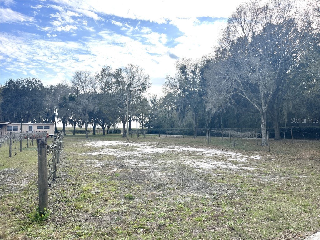 30737 Elam Road Wesley Chapel FL 33545 T3548223 image13