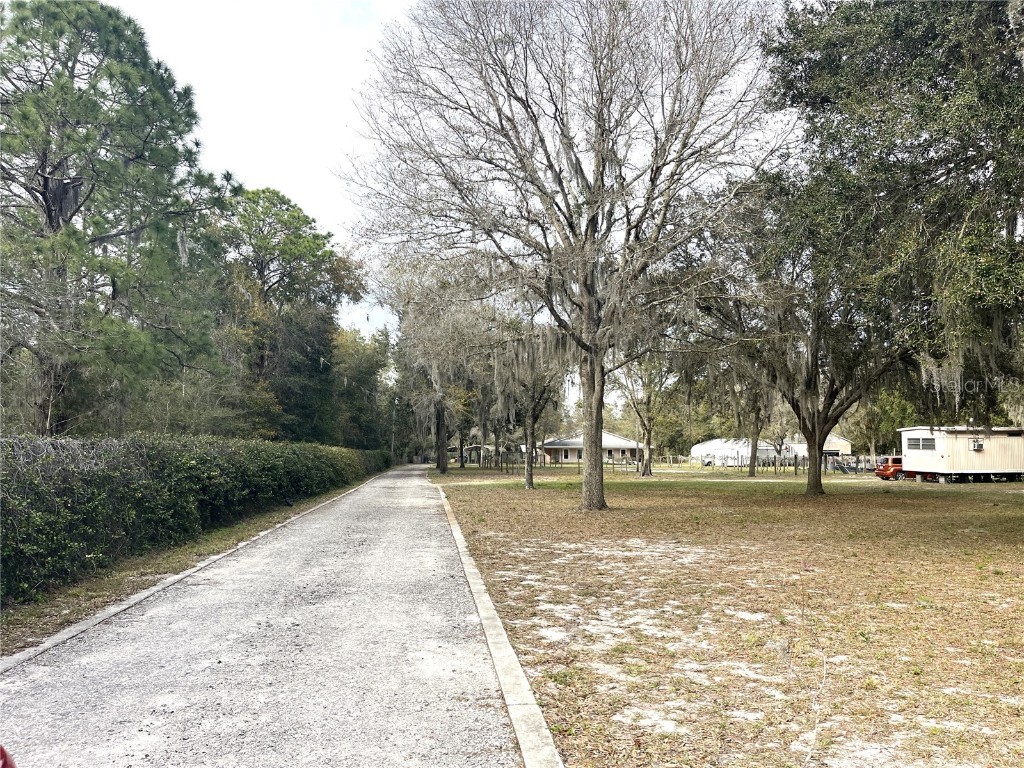 30737 Elam Road Wesley Chapel FL 33545 T3548223 image14