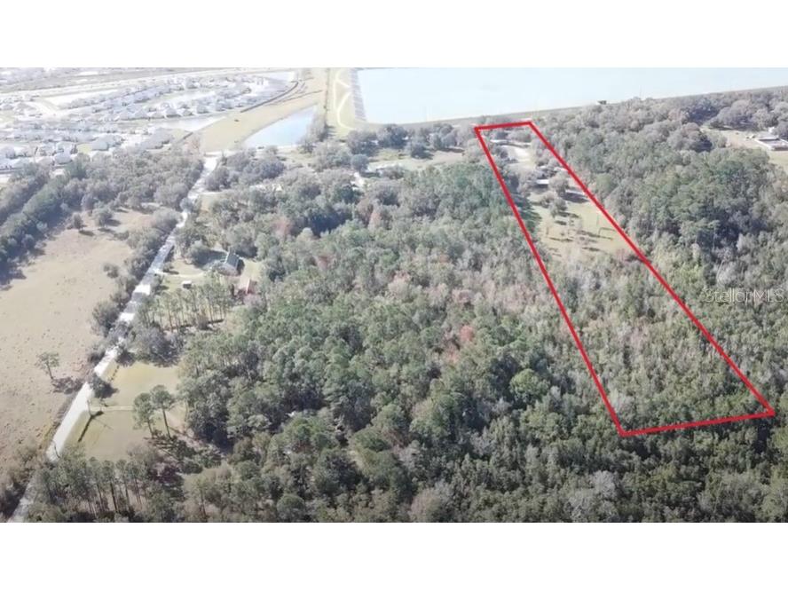 30737 Elam Road Wesley Chapel FL 33545 T3548223 image3