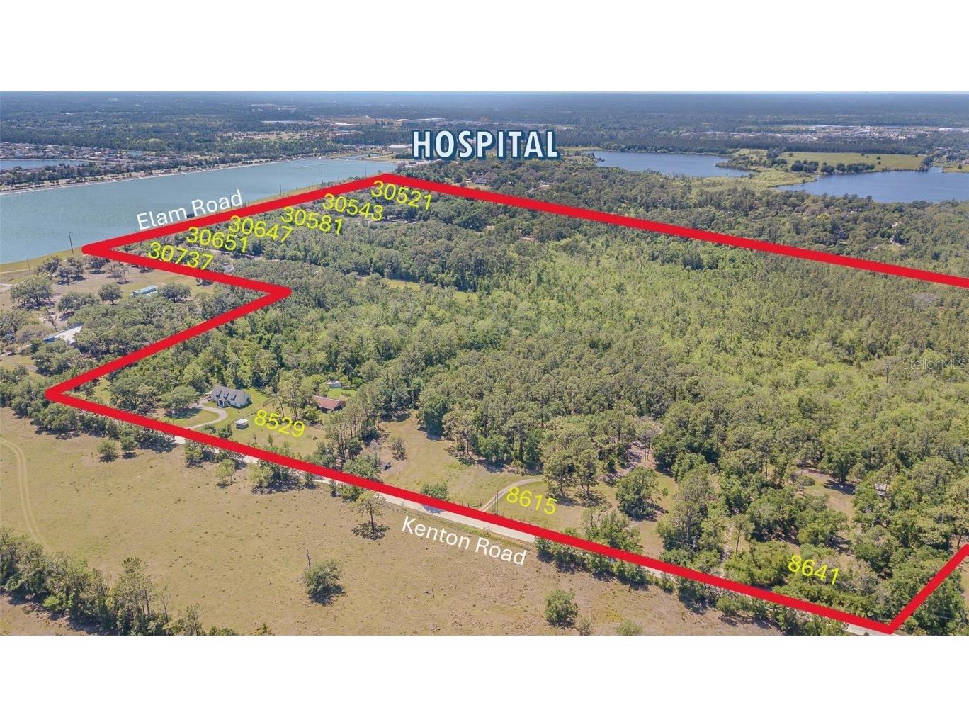 30737 Elam Road Wesley Chapel FL 33545 T3548223 image7