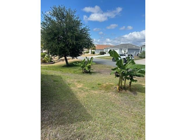 3074 Brine Way The Villages FL 32163 A4693191 image2