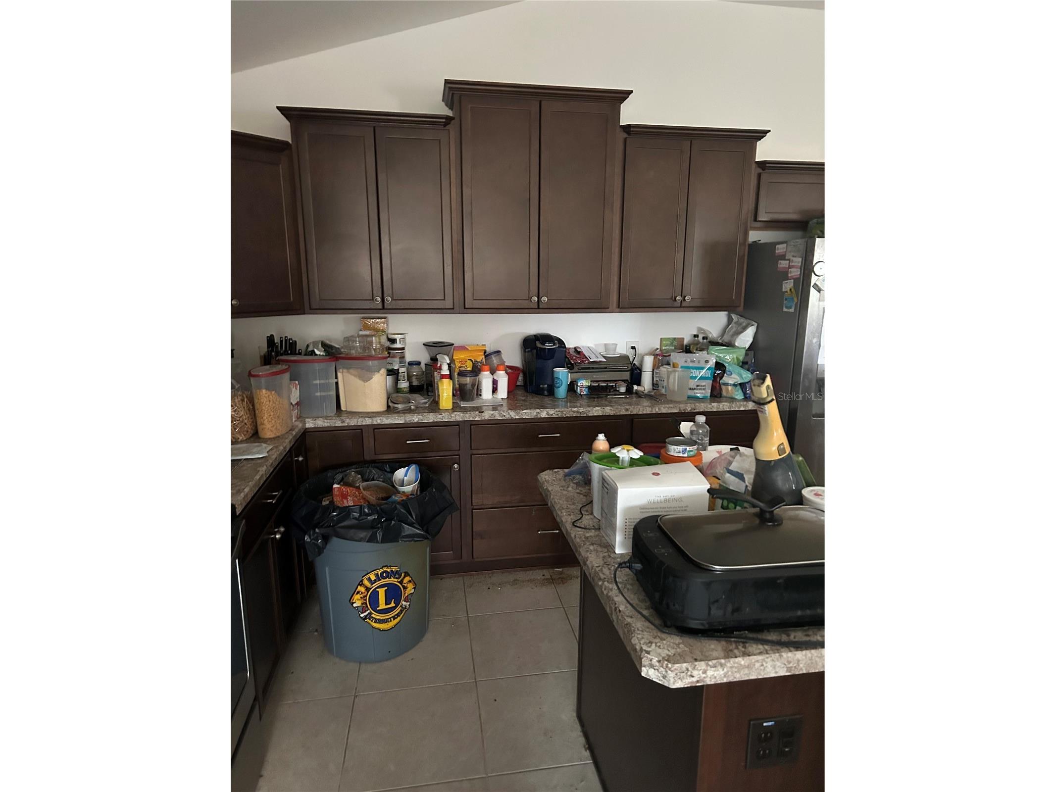 3074 Brine Way The Villages FL 32163 A4693191 image5