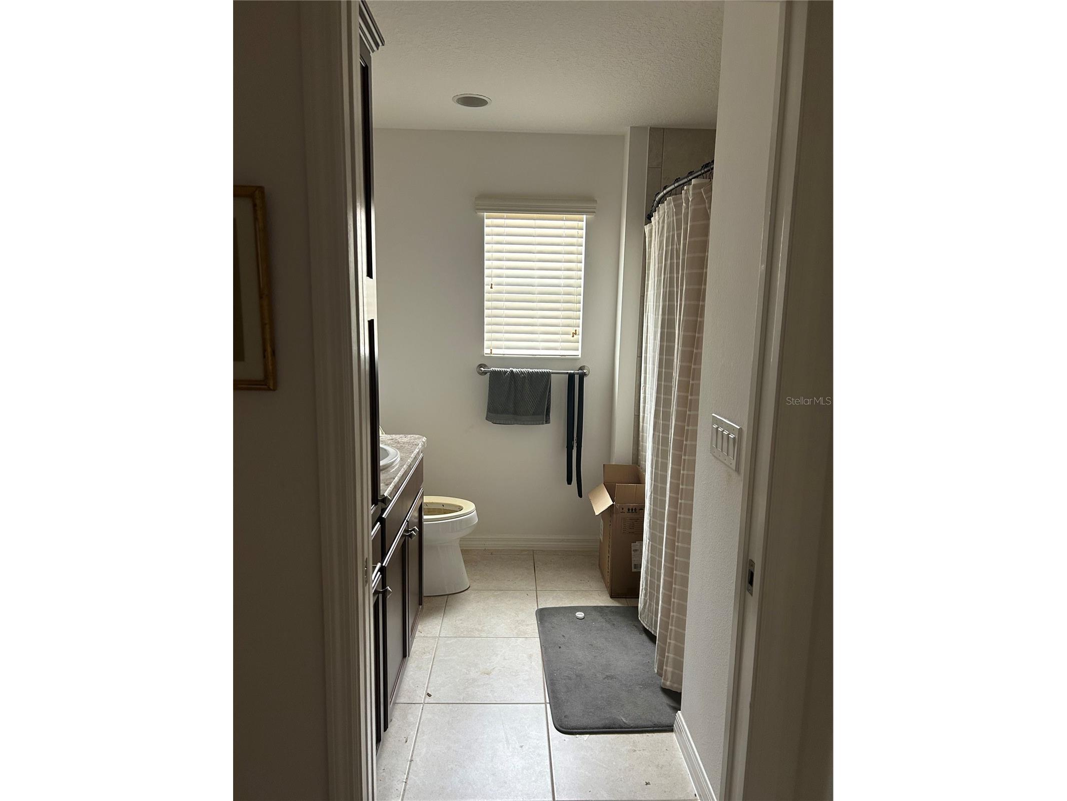 3074 Brine Way The Villages FL 32163 A4693191 image6