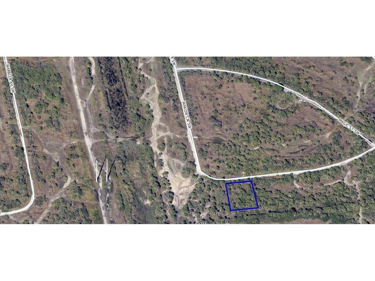 3074 Wakow Circle SW Palm Bay FL 32908 T3526317 image1