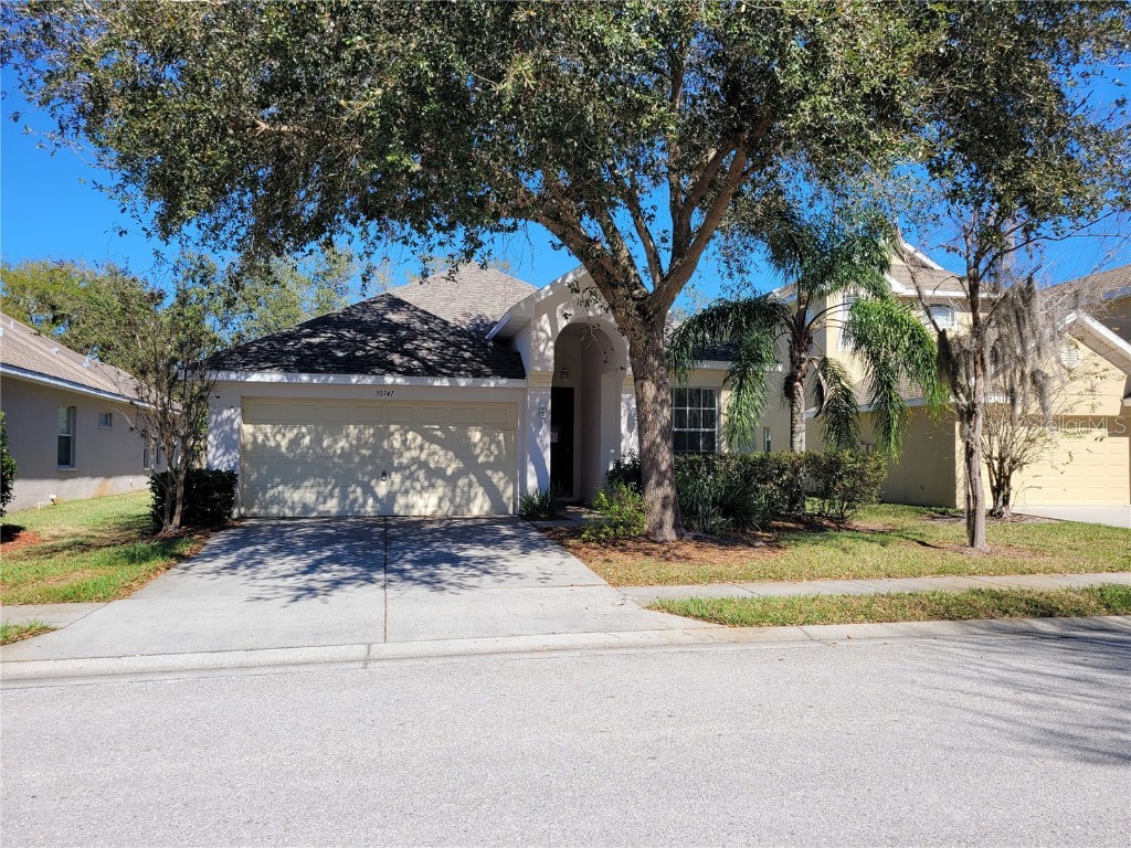 30741 Pumpkin Ridge Drive Wesley Chapel FL 33543 U8190644 image1
