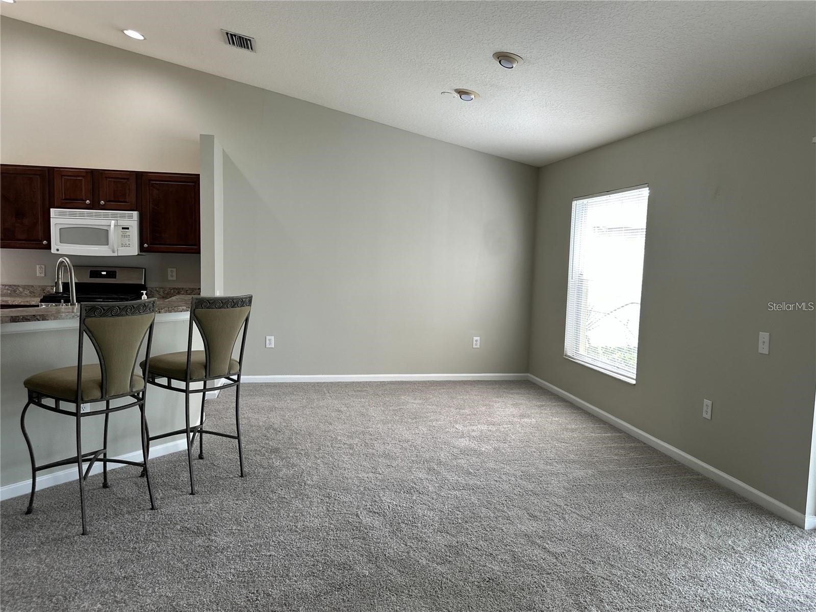 30747 Burleigh Drive Wesley Chapel FL 33543 TB8519717 image12