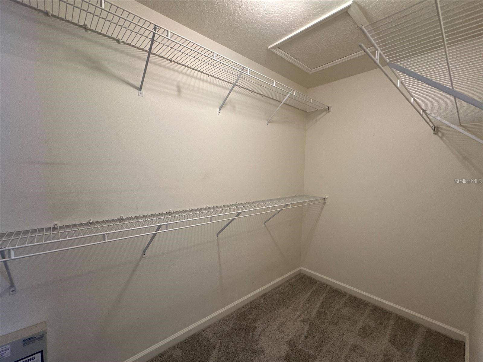30747 Burleigh Drive Wesley Chapel FL 33543 TB8519717 image23