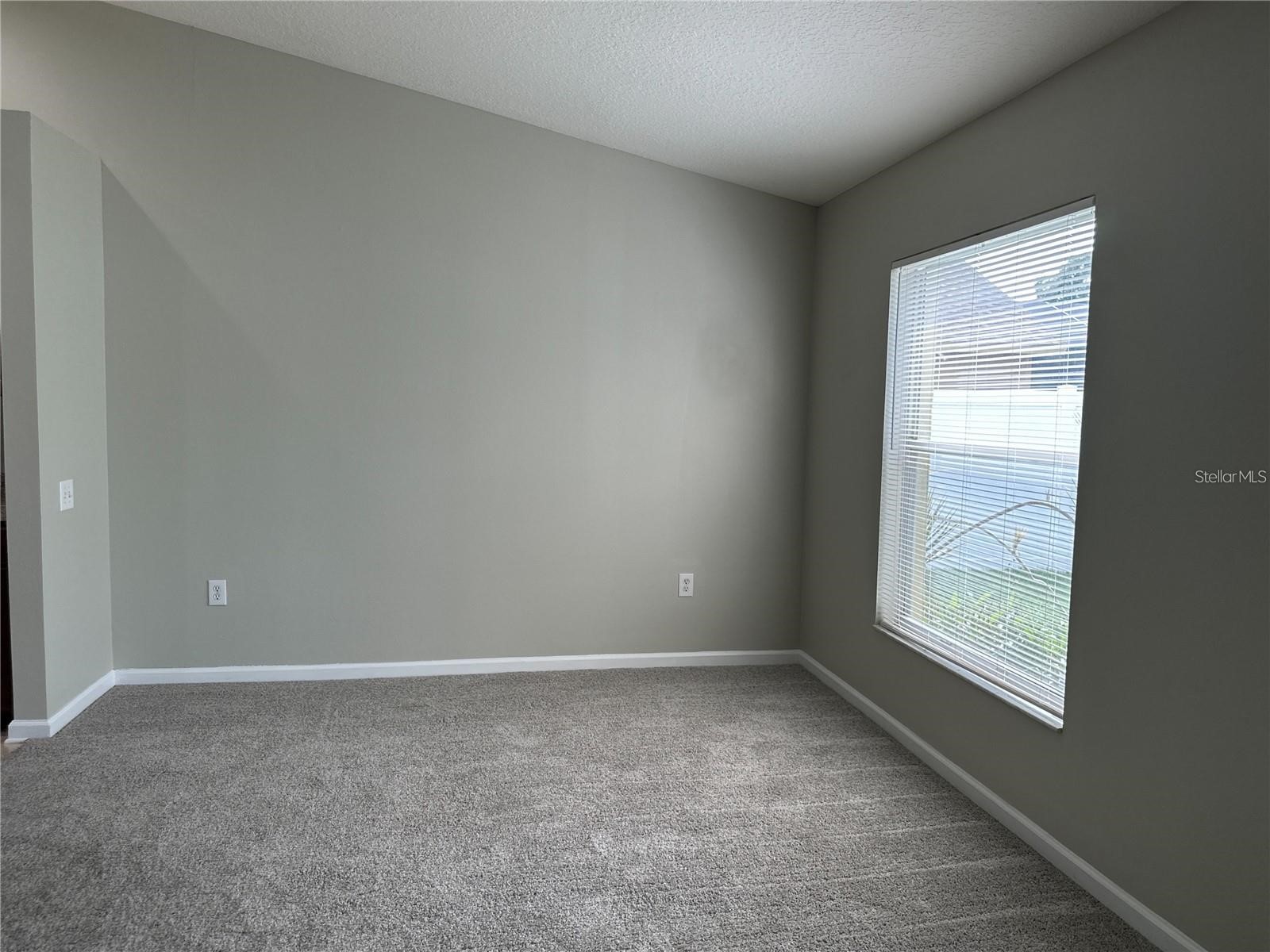30747 Burleigh Drive Wesley Chapel FL 33543 TB8519717 image24