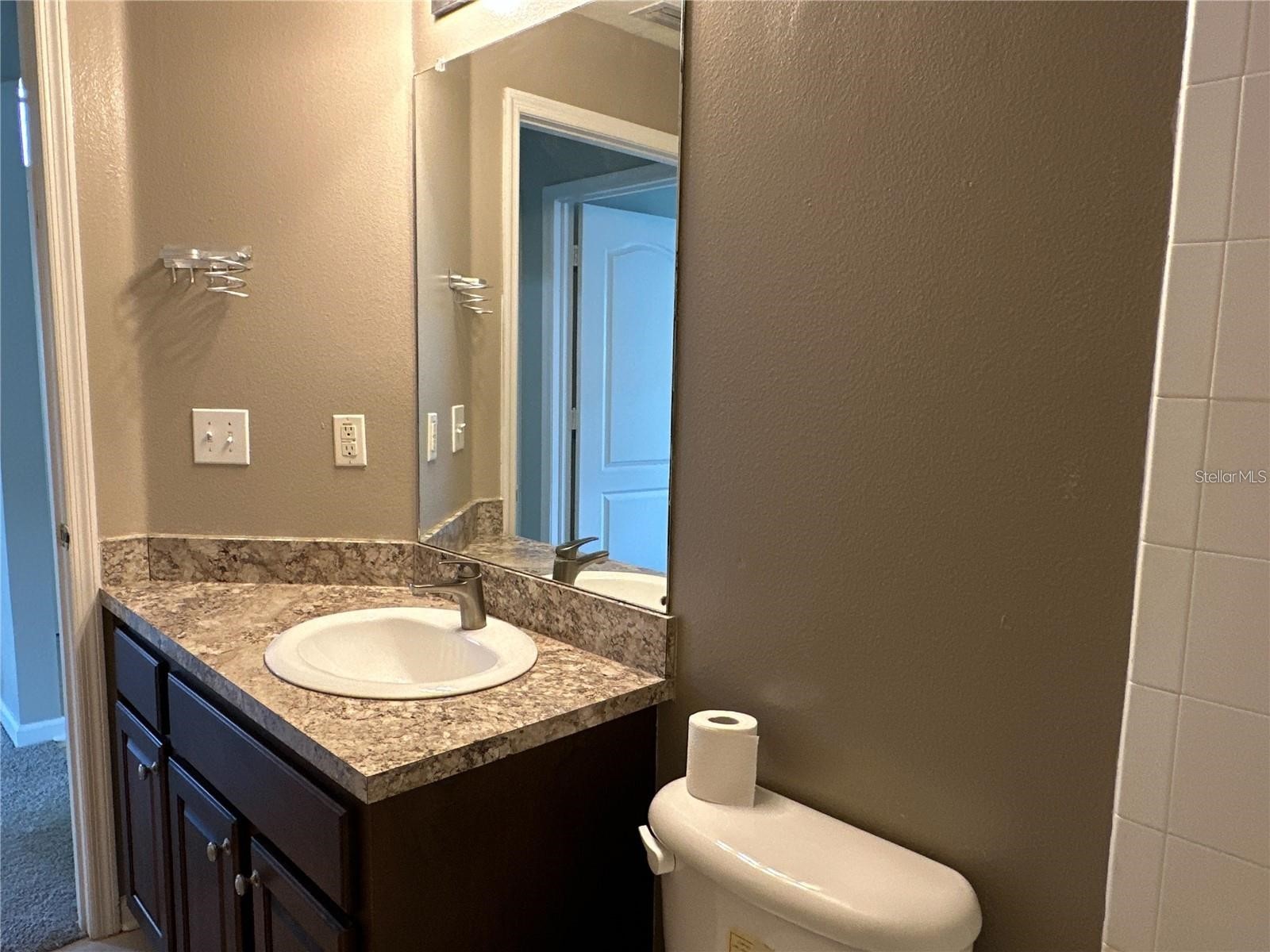 30747 Burleigh Drive Wesley Chapel FL 33543 TB8519717 image27