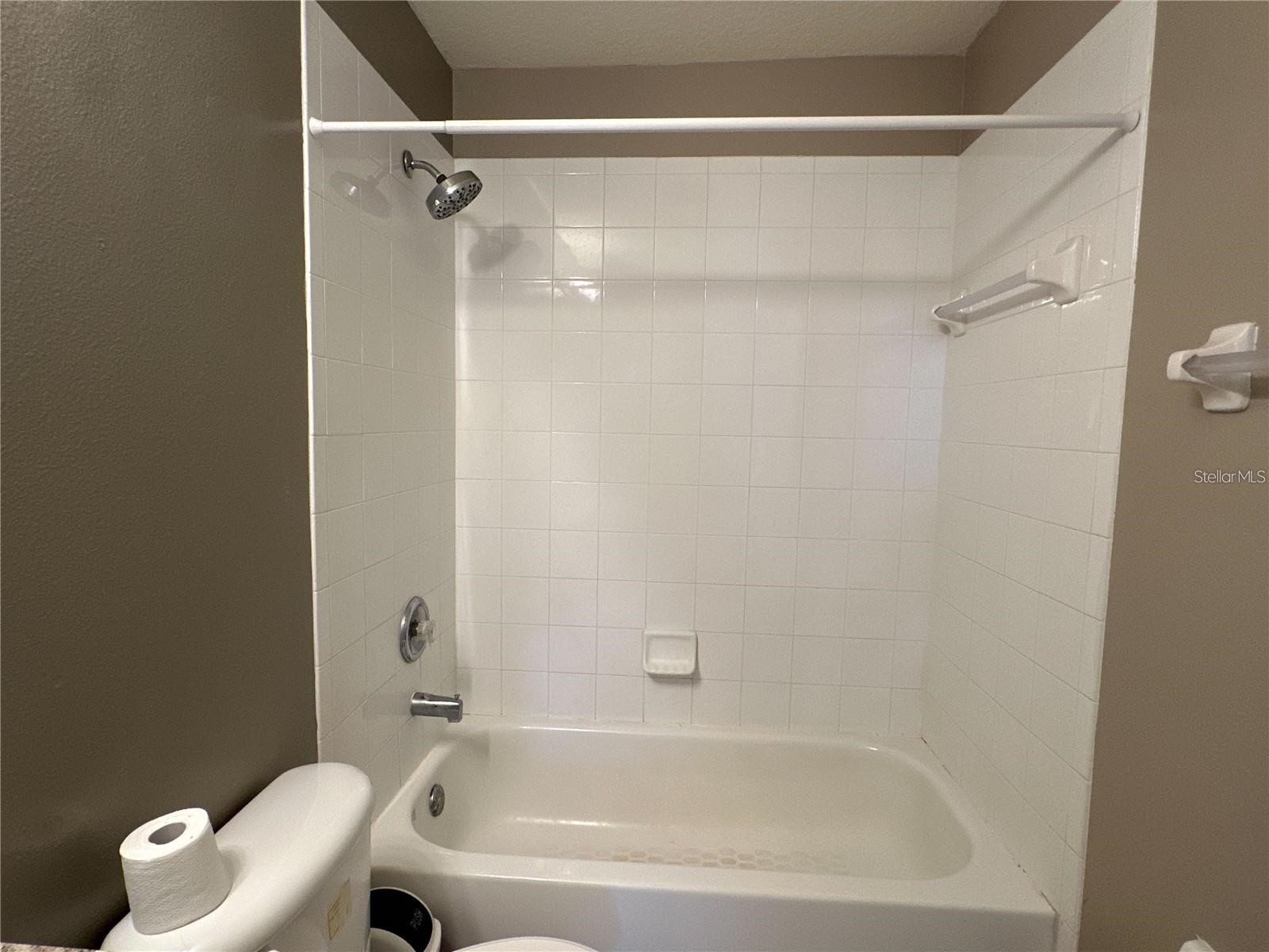 30747 Burleigh Drive Wesley Chapel FL 33543 TB8519717 image28