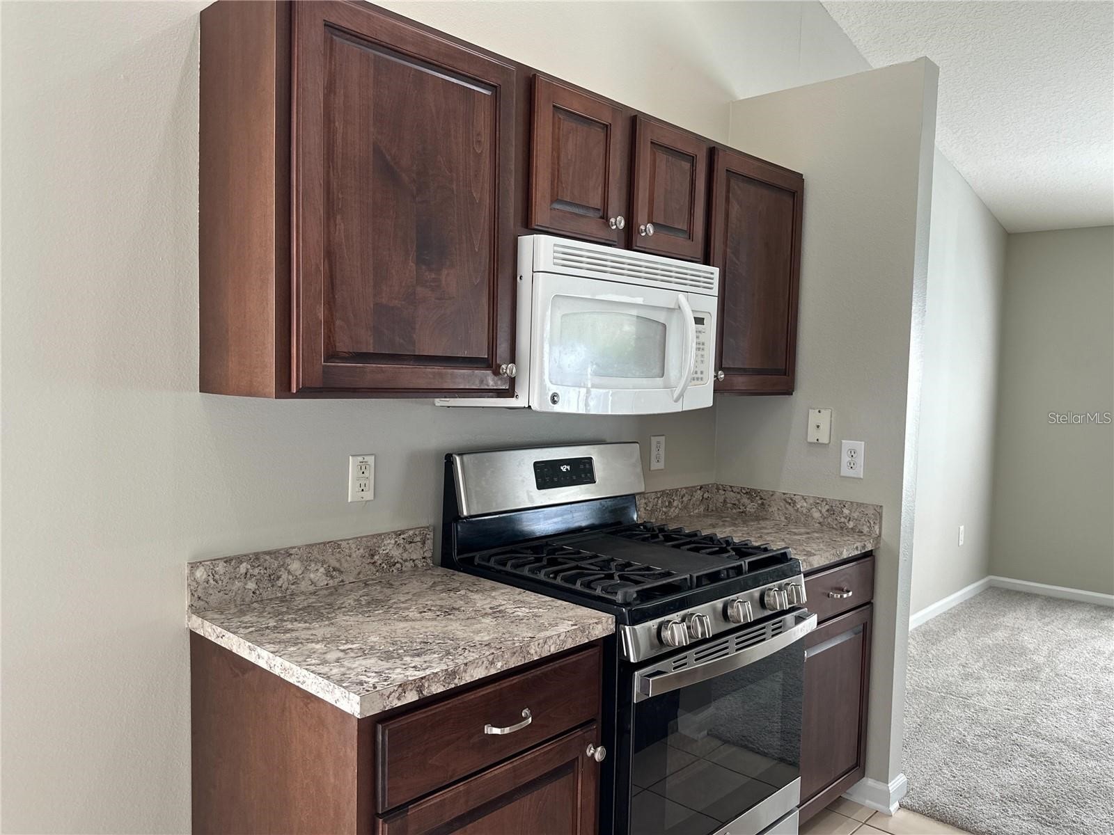 30747 Burleigh Drive Wesley Chapel FL 33543 TB8519717 image9
