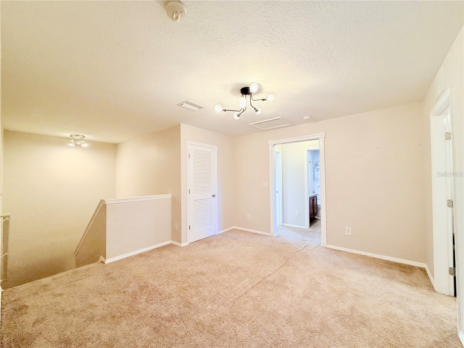 30750 Temple Stand Avenue Wesley Chapel FL 33543 TB8452099 image27