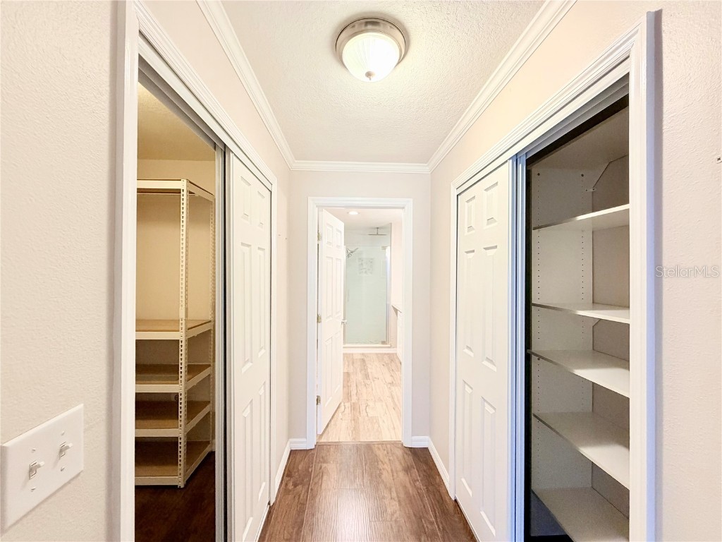 30750 Temple Stand Avenue Wesley Chapel FL 33543 TB8452203 image16