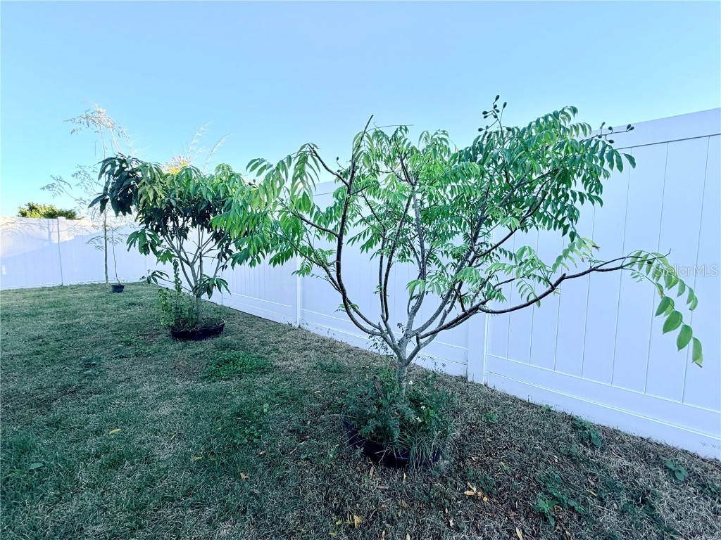 30750 Temple Stand Avenue Wesley Chapel FL 33543 TB8452203 image35