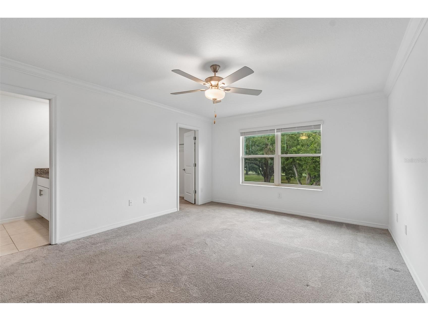 30751 Veridian Way Wesley Chapel FL 33543 TB8523388 image41