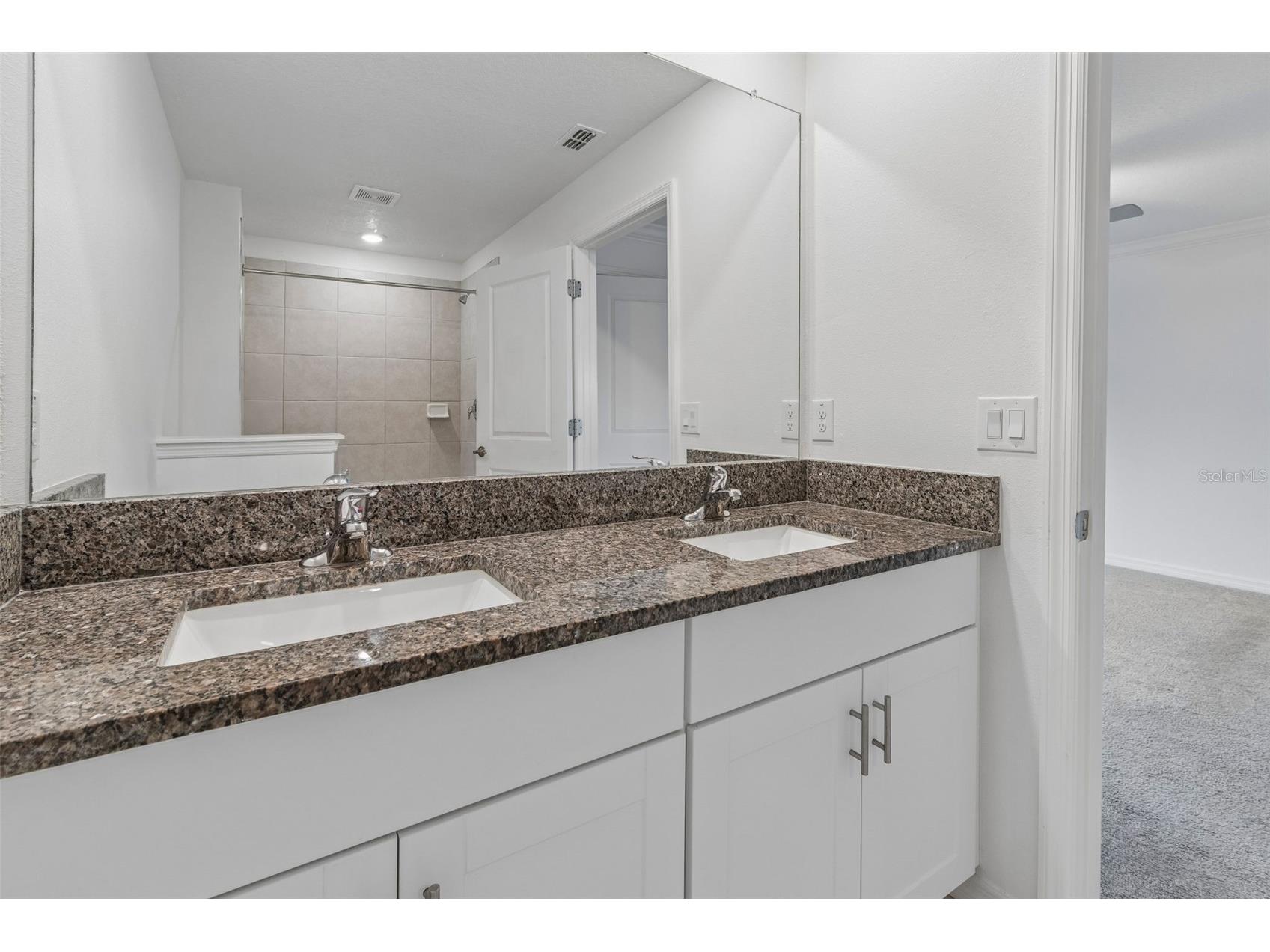 30751 Veridian Way Wesley Chapel FL 33543 TB8523388 image46