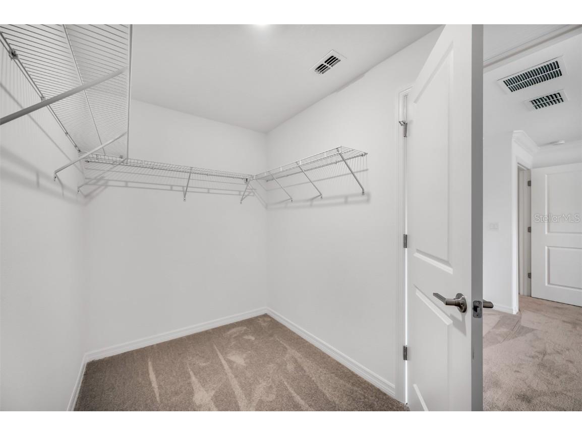 30752 Veridian Way Wesley Chapel FL 33543 TB8461887 image25